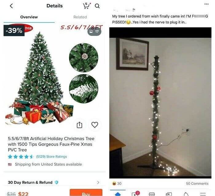 Au lieu d'un sapin de Noël, c'était une brindille de Noël