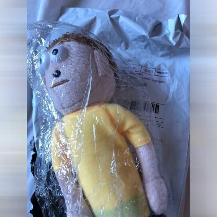 Quand tu obtiens Morty au lieu de pinces à cheveux