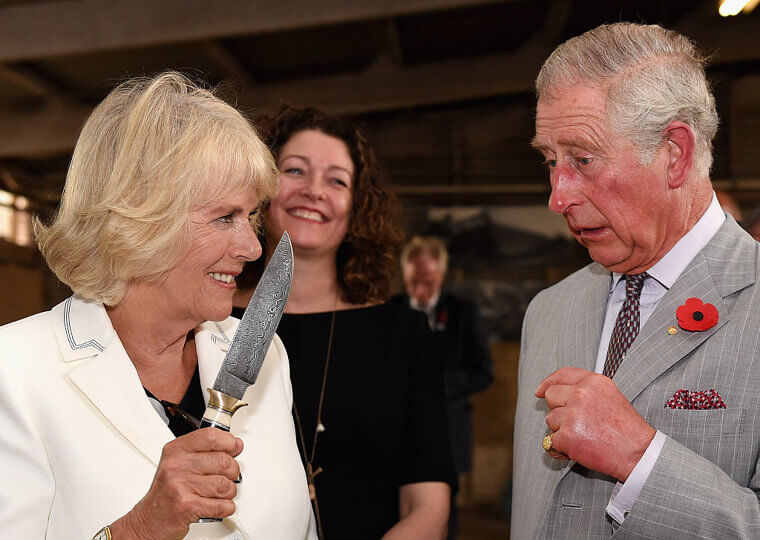 Charles Hired a PR Expert to Help Clean up Camilla's Image