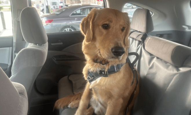 Things Drivers Do That Ruin Their Car's Resale Value