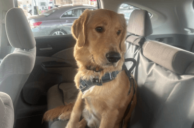 Things Drivers Do That Ruin Their Car's Resale Value