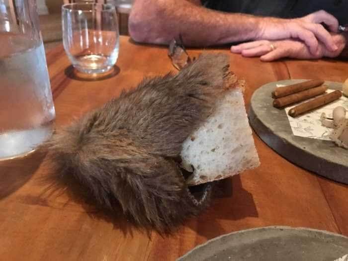 Roadkill With a Side of Bread