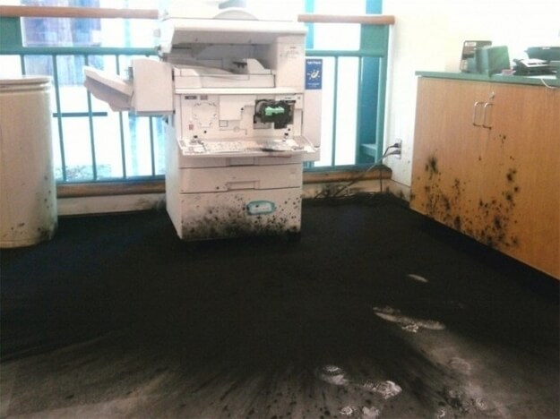 We Would Not Want To Clean That Up