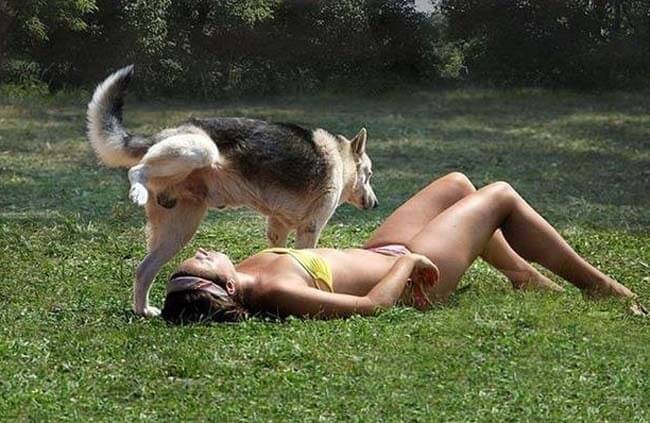 This Dog Ruined Her One Day Off