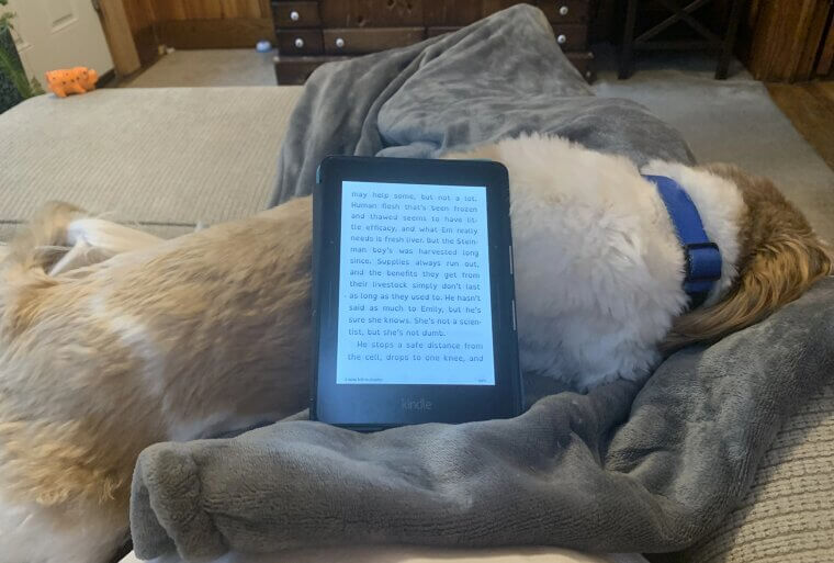 Poor Wind-Down Routines