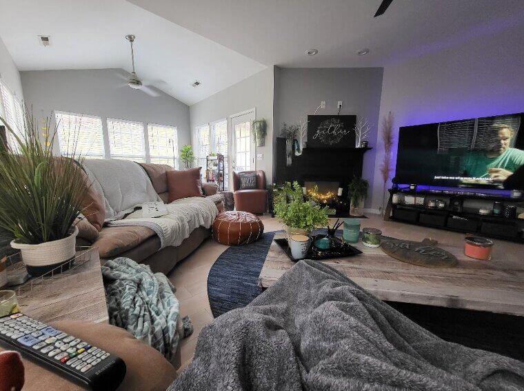 House and Pet Sitting