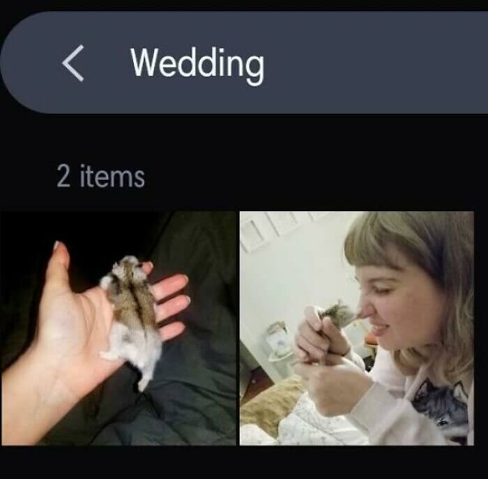 When Your Phone's AI Thinks Your Married To Your Hamster