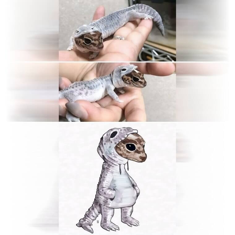 A Lizard Shedding His Old Skin