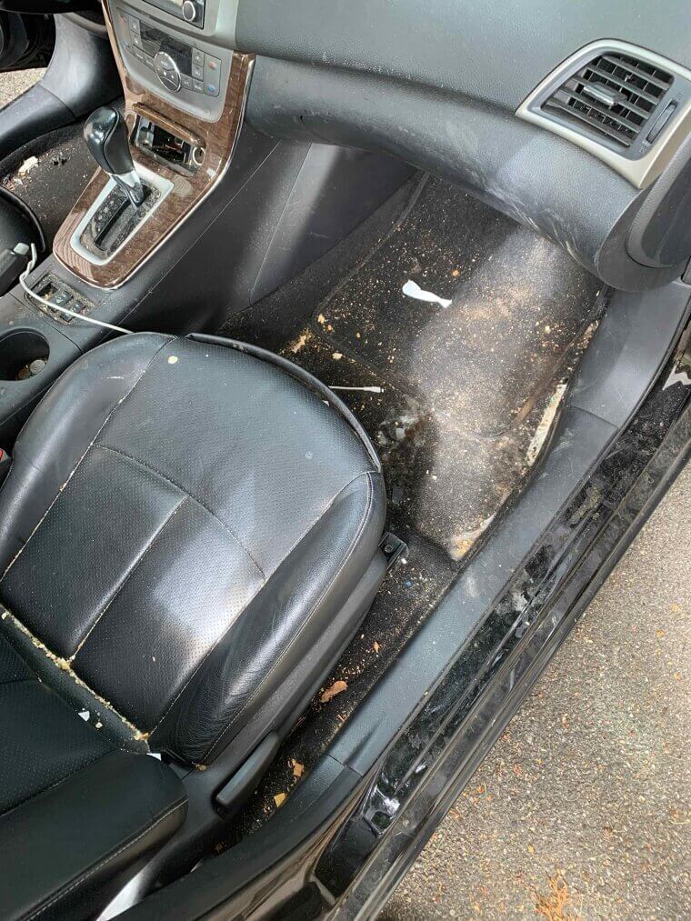 Keep the Interior of Your Car Clean and Tidy