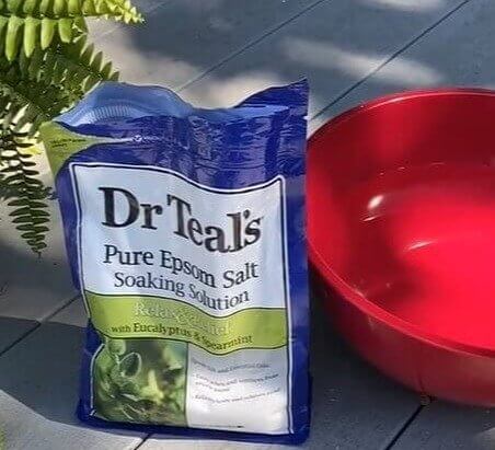 Give Your Plants Epsom Salt