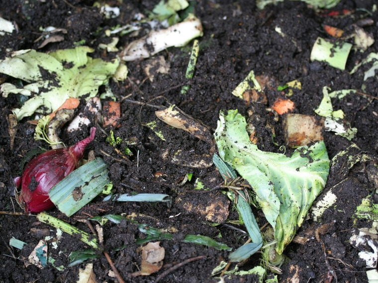 As sobras de alimentos são ótimas para a saúde do solo