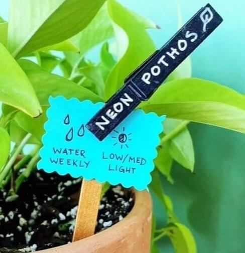 Marcadores de plantas facilitam o controle das necessidades de suas plantas