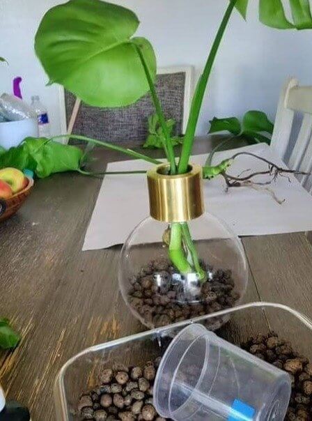 The Benefits of Using Clay Pebbles