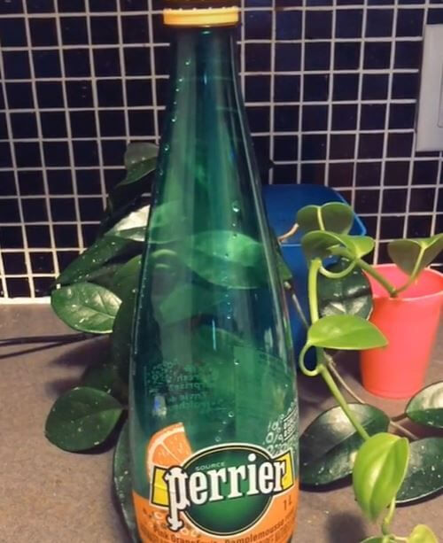Regue periodicamente as plantas usando Club Soda