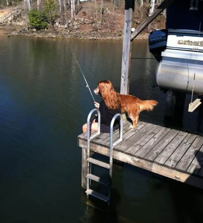 A Fishing Enthusiast Doggo