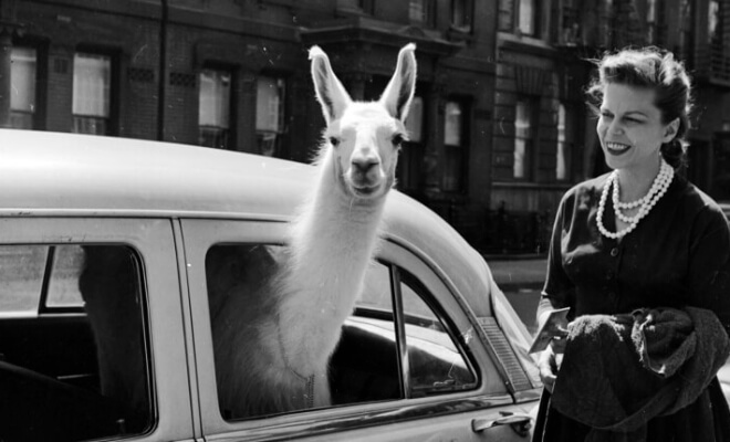 Fotos históricas cautivadoras que no nos mostraron en la clase de historia