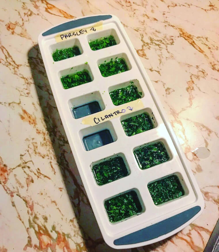 Kräuter in Olivenöl einfrieren und aufbewahren, um das Kochen zu erleichtern