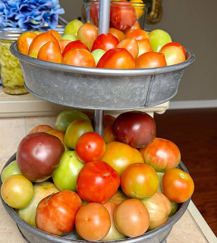 Wohin gehen die Tomaten?