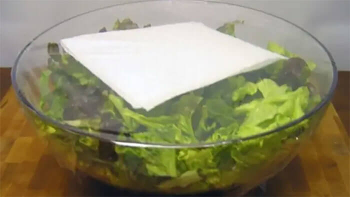 Make Sure Your Lettuce Stays Crispy And Fresh