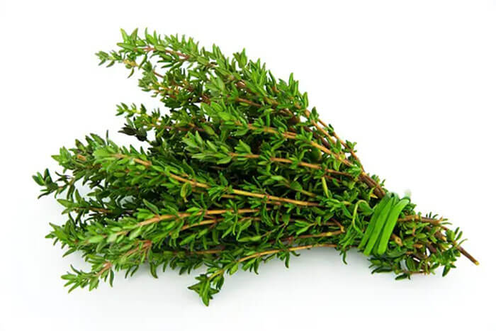 Oily Herbs Are Come Tied Together For A Reason
