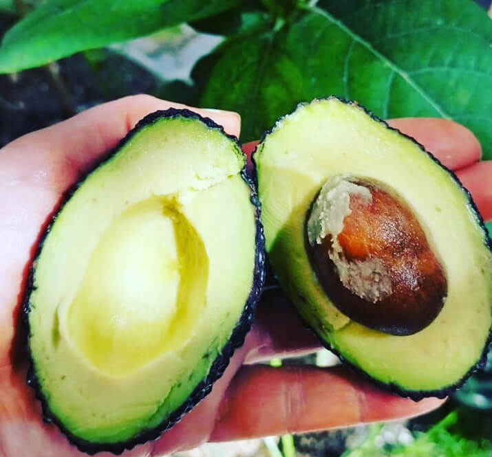 Was man mit übrig gebliebener Avocado macht