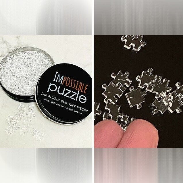 There's A See Through Puzzle Set