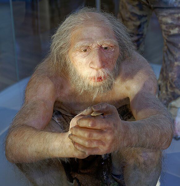 There's A Movement To Get Humans To Extinct Themselves