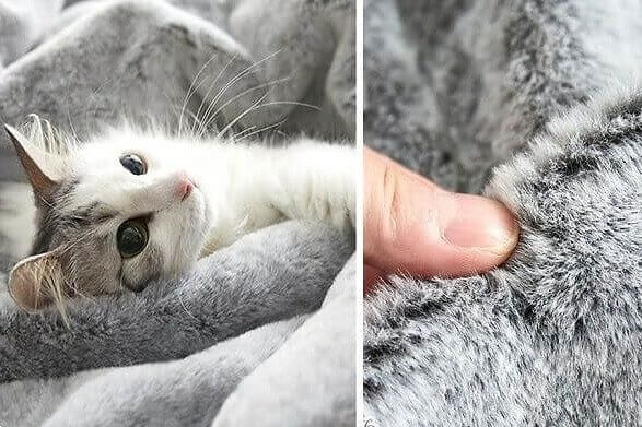These Bed Linens Feel Like Cat Fur