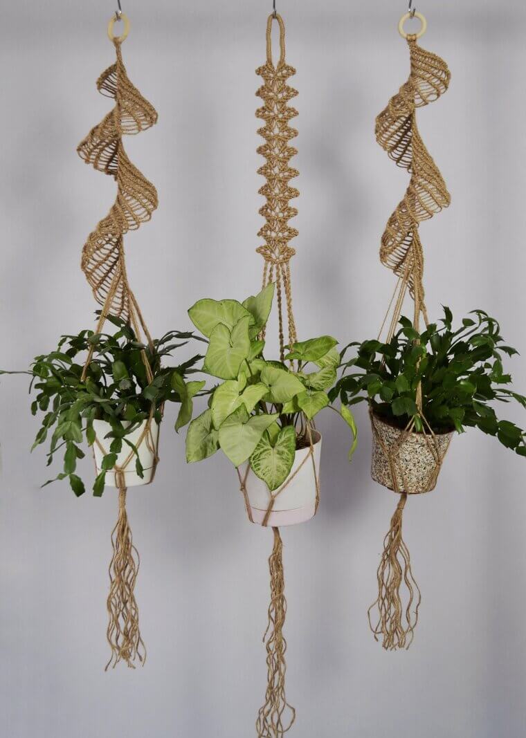 Macrame Planters Hung in Every Sunny Window