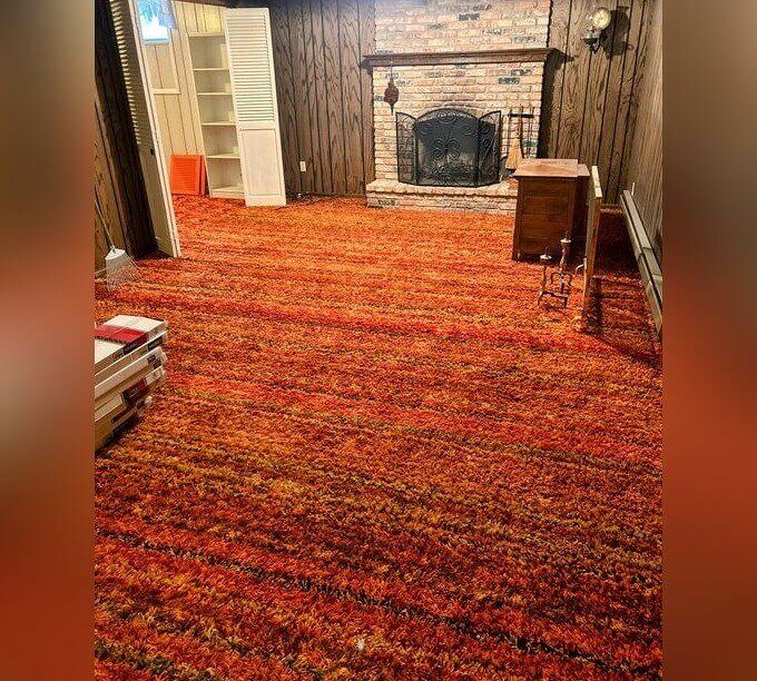 Shag Carpet So Deep Your Feet Vanished