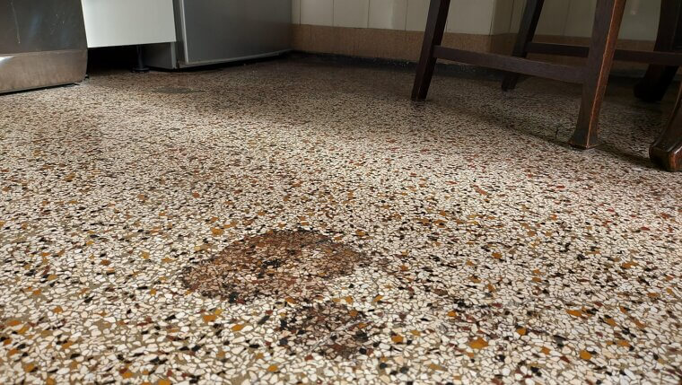 Terrazzo Floors Are Buried Under Your Carpet