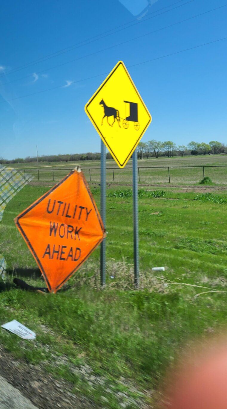 Horse and Buggy Ahead?