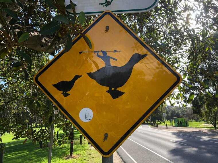 When a Primitive Hunter Rides a Super Duck