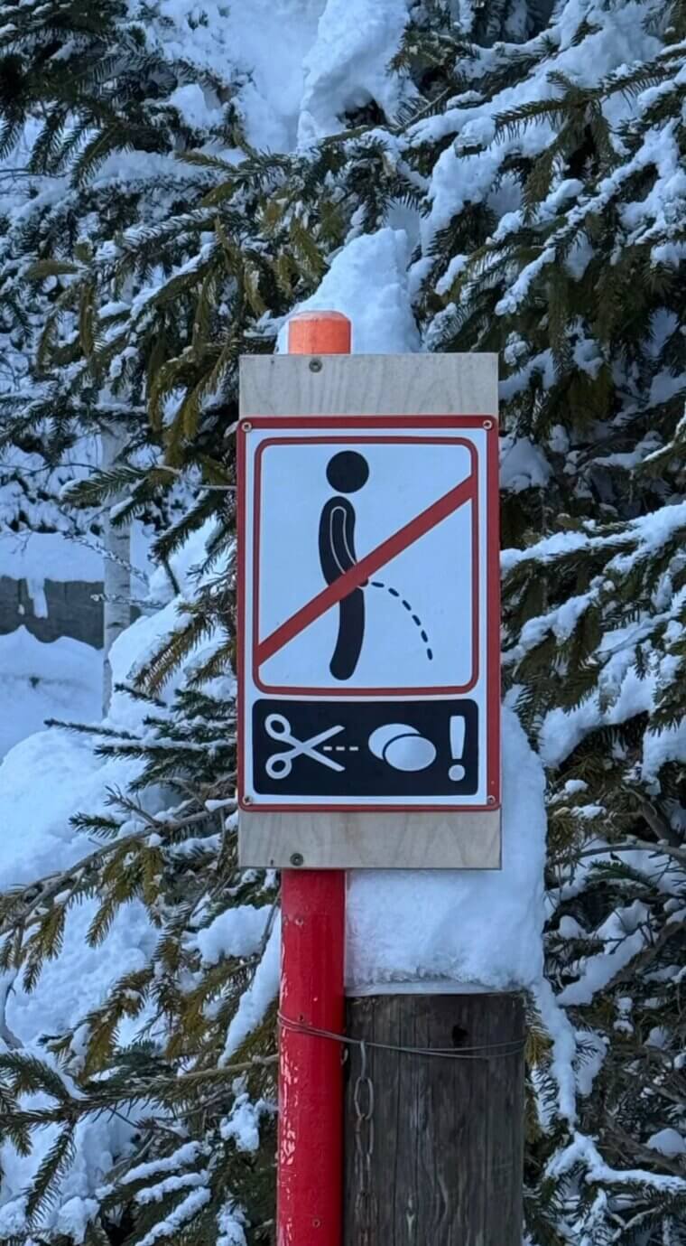 Don't Pee in the Snow (Or Else!)