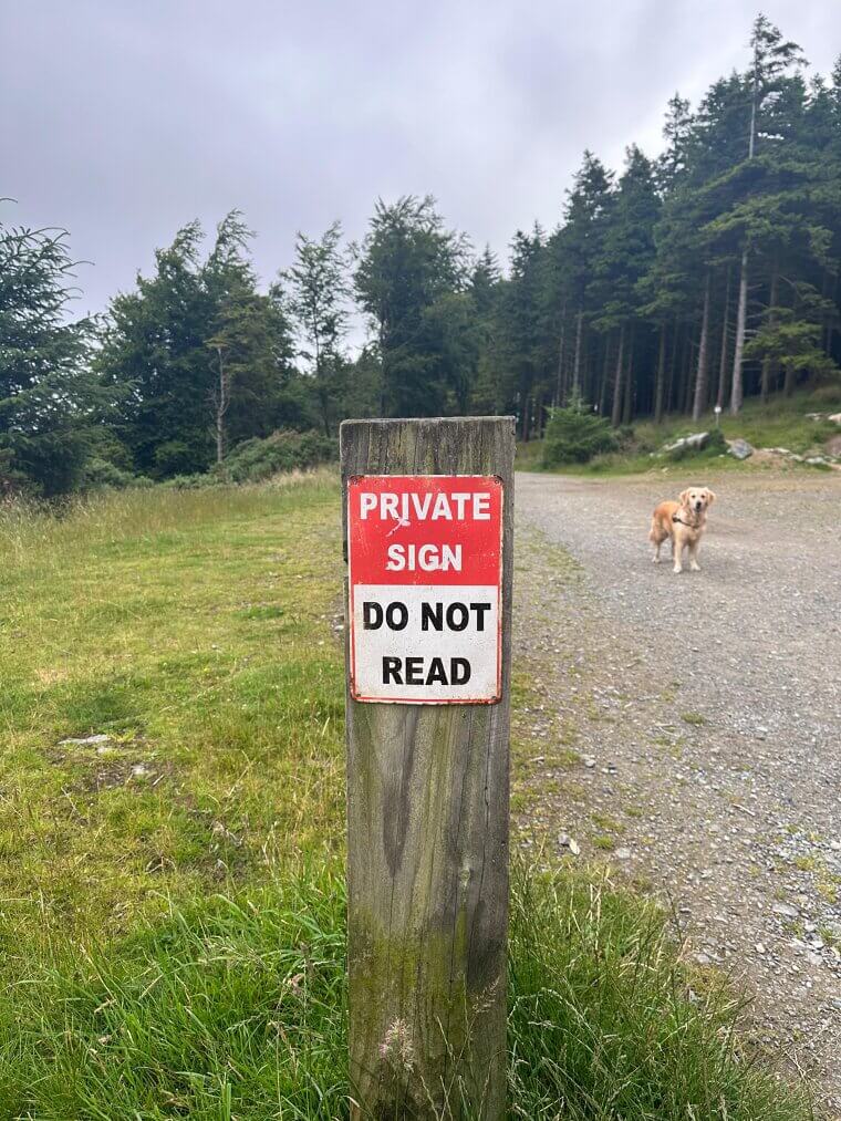 A Sign That Contradicts Itself