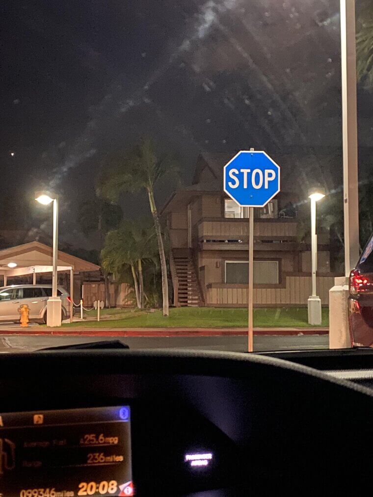 A Blue Stop Sign