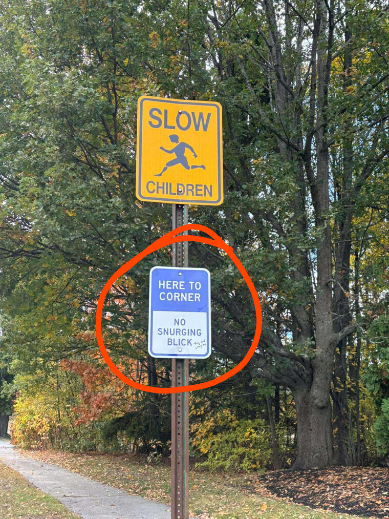 A Mystifying Message on a Corner in the Trees