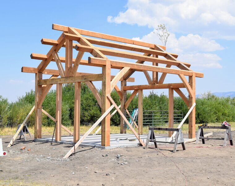 Timber That Grew Up Slow