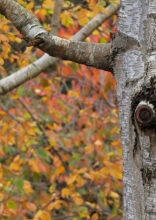 Objetos e momentos arrepiantes capturados pela câmera