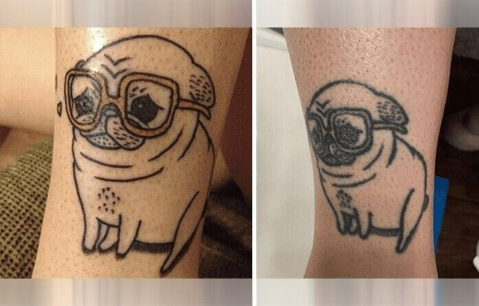 The Cute Pug In These Photos Looks Brand New