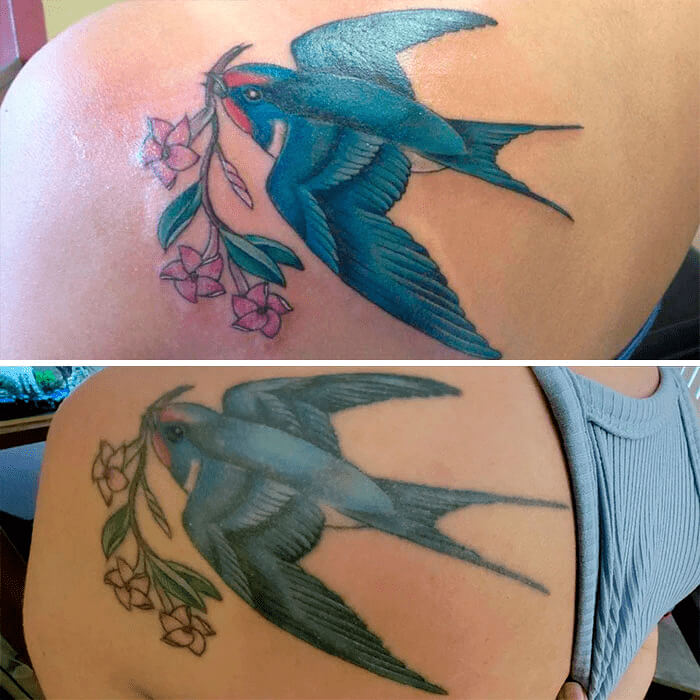 This Tattoo Of A Bird Has Aged Really Well