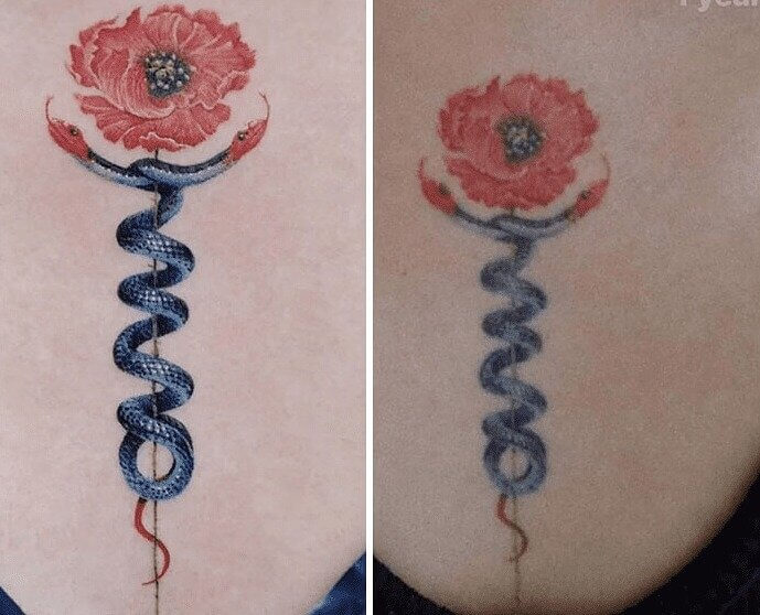 A Very Detailed Fine Line Flower And Snakes