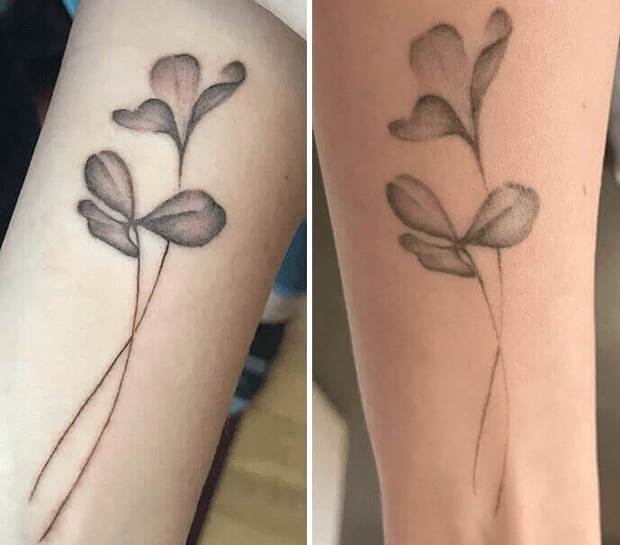 A Ghostly Plant