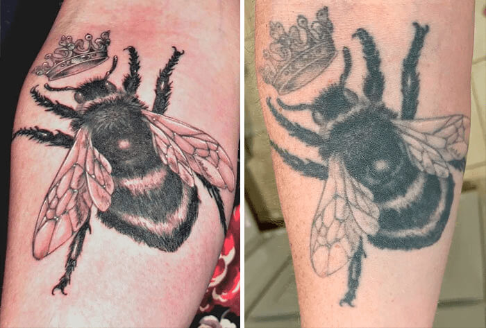 An Image Of A Queen Bee