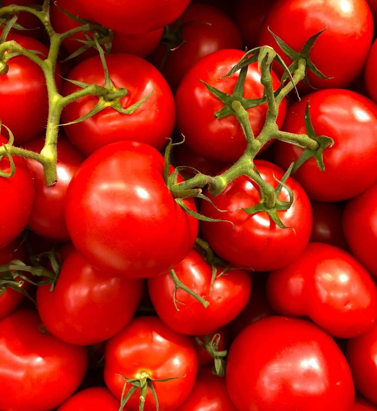 Here's Why You Should Never Refrigerate Tomatoes SmartCelery