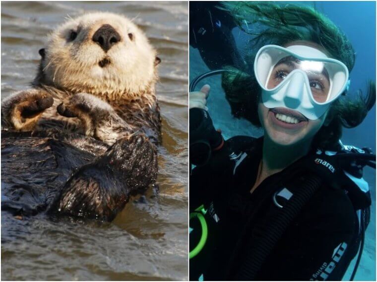 Sea Otters – Wetsuits
