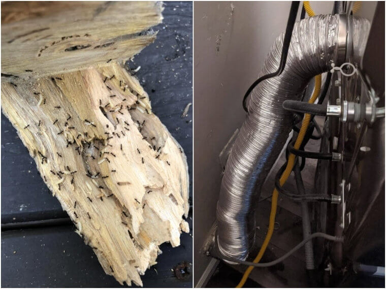 Termites – Ventilation