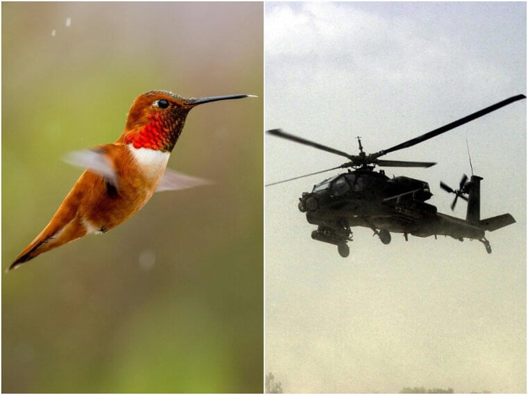 Hummingbirds – Helicopters