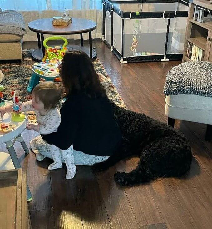 Como o garoto se tornou totalmente humano se sua mãe é um centauro?