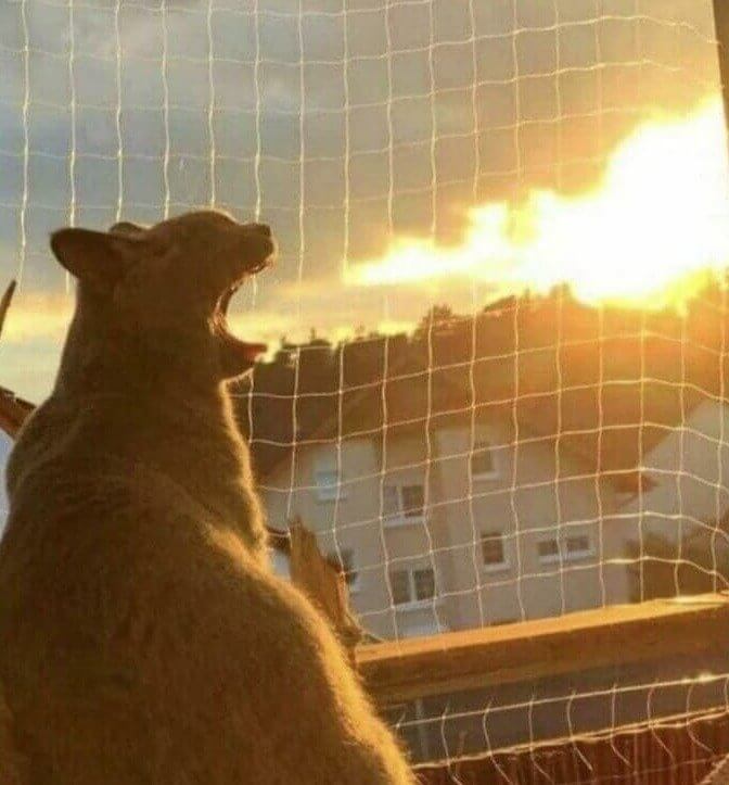 Os dragões certamente mudaram desde os velhos tempos